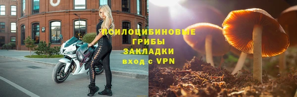 герыч Алексин