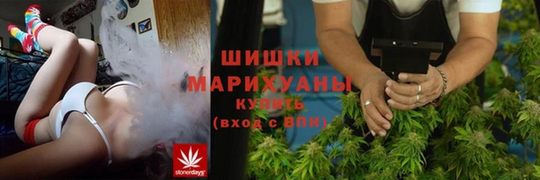 дмт Алзамай