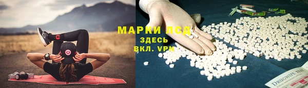гидра Алексеевка