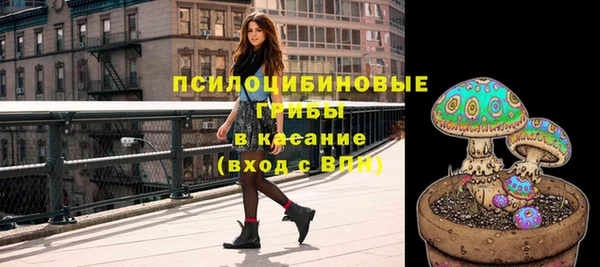 дмт Алзамай