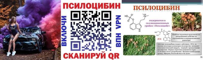 mega tor  Костерёво  Псилоцибиновые грибы прущие грибы 